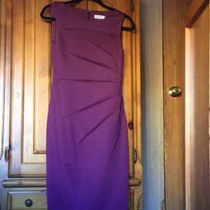 Calvin Klein Dress (Like New)
